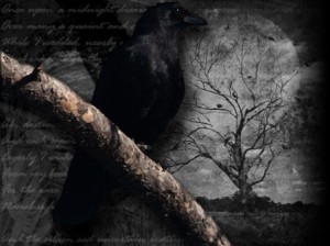 raven-bird-night-moon-wallpaper_563194724